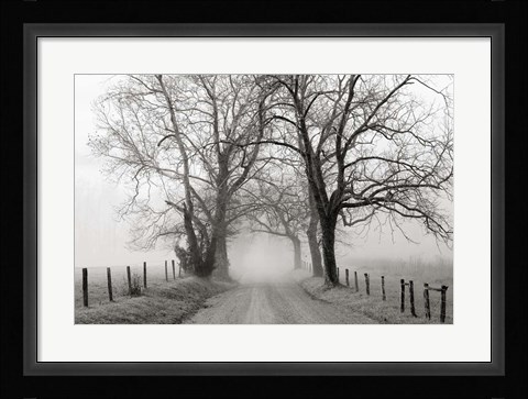 Framed Sparks Lane, Late Autumn Print