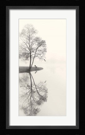 Framed Tranquil Morning Print