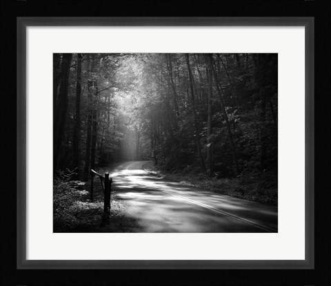 Framed Tremont Road, Smoky Mountains Print