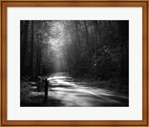 Framed Tremont Road, Smoky Mountains Print