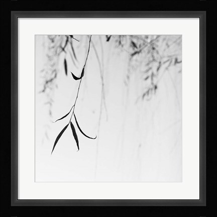 Framed Willow Print No. 1 Print
