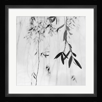 Framed Willow Print No. 3 Print