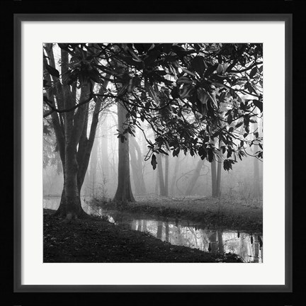 Framed Woodland No. 1 Print