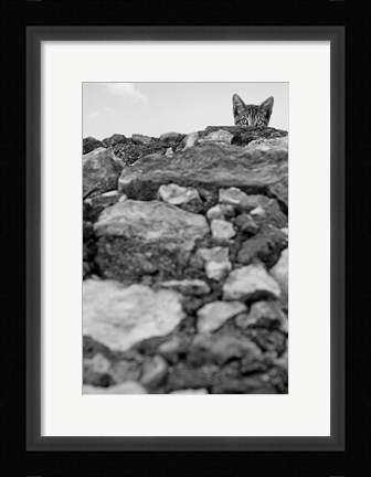 Framed C'est Moi! Print