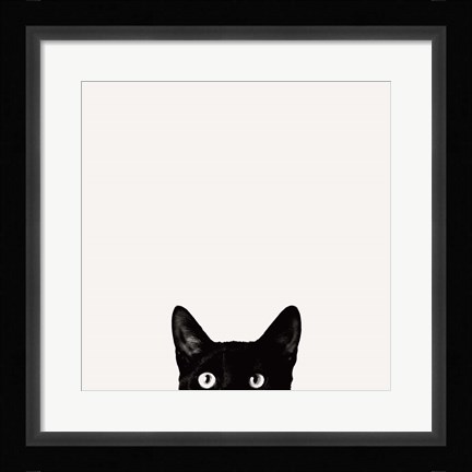 Framed Curiosity Print