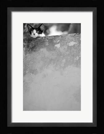 Framed Dreamin' Print