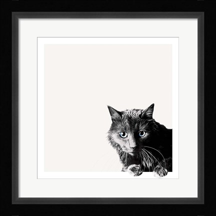 Framed Inquisitive Print