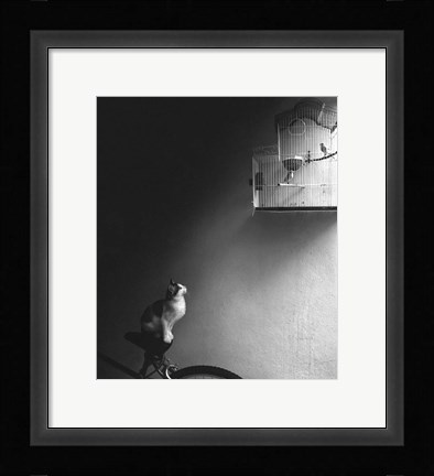 Framed Patience Print