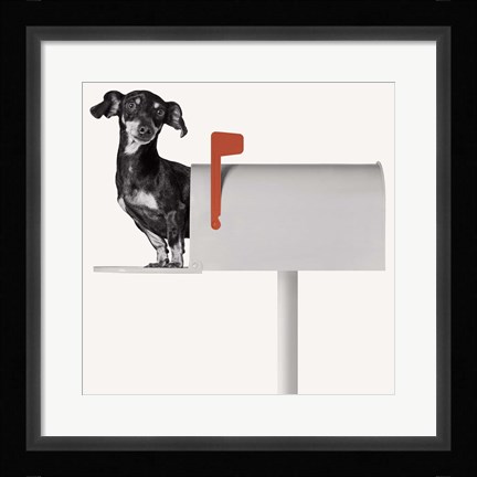 Framed You've Got Mail Print