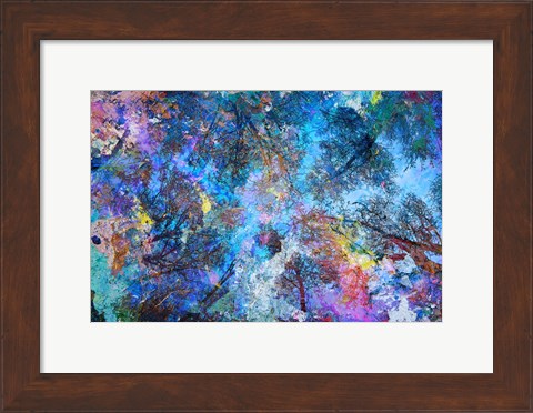 Framed Dreaming up to the Trees Print