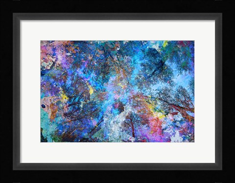 Framed Dreaming up to the Trees Print