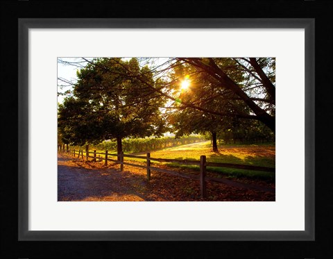 Framed Dreamland Vineyard Print