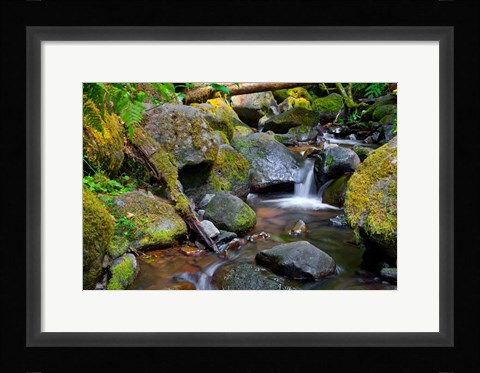 Framed Mossy Stream Print