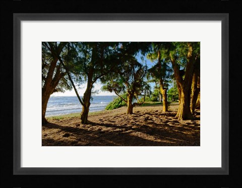 Framed Ancient Family Print