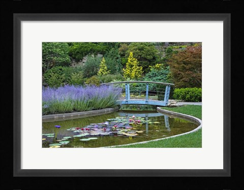Framed Serenity Print