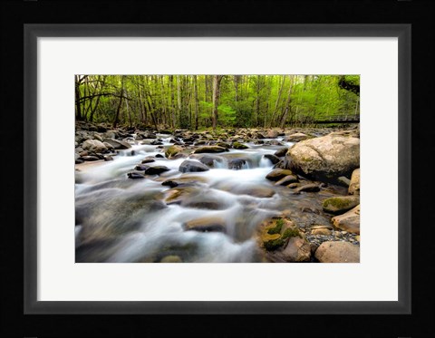 Framed Below the Bridge Print