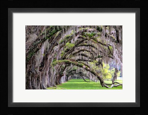 Framed Hanging to the Right Print