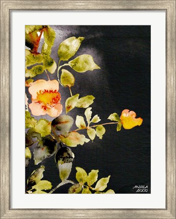 Framed Roses on Black Print