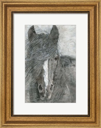 Framed Horse in the Wind Print