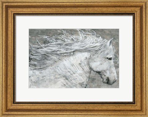 Framed Wild Horse Print