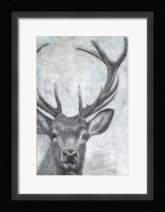 Framed Portrait of a Deer Print