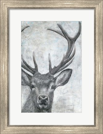 Framed Portrait of a Deer Print