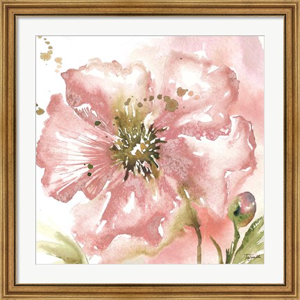 Framed Blush Watercolor Poppy II Print