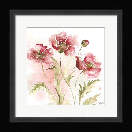 Framed Blush Watercolor Poppy III Print