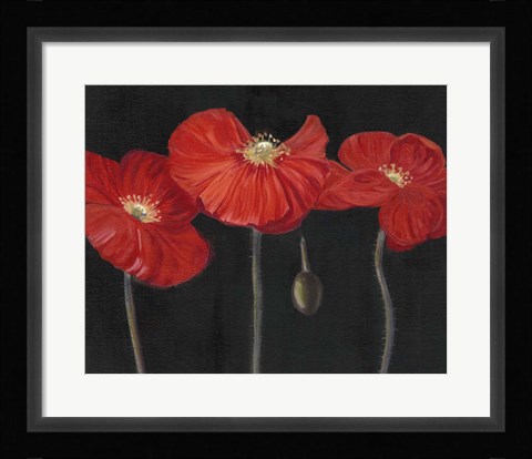 Framed Poppy Trio I Print
