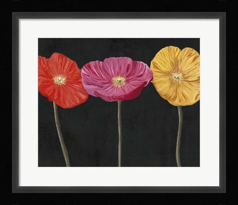 Framed Poppy Trio II Print