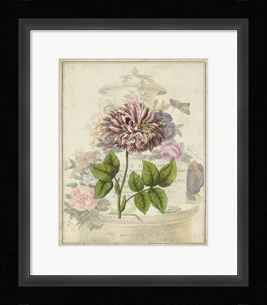 Framed Vintage Rose Bookplate Print