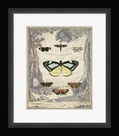 Framed Vintage Butterfly Bookplate Print