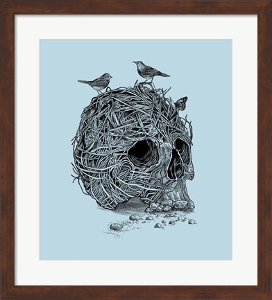 Framed Skull Nest Print