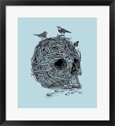 Framed Skull Nest Print