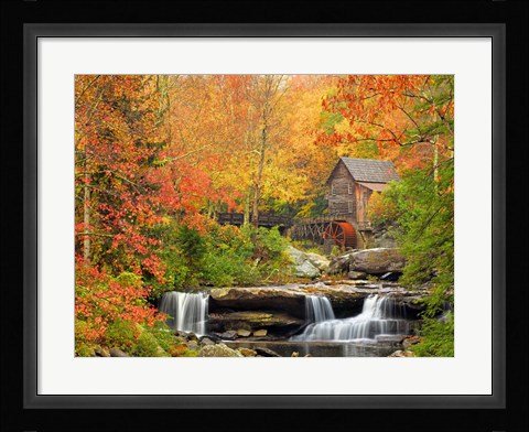 Framed Autumn Splendor Print