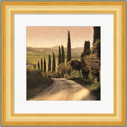 Framed Country Lane, Tuscany Print