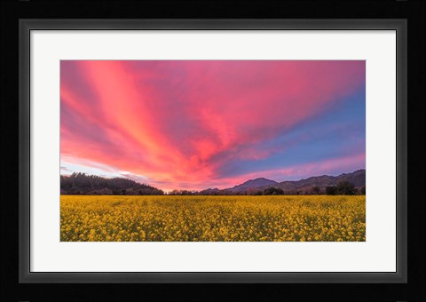 Framed Spring Sunset Napa Valley Print