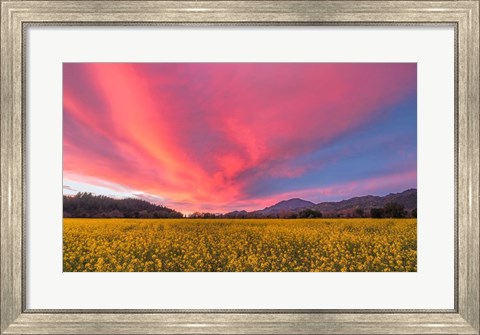 Framed Spring Sunset Napa Valley Print