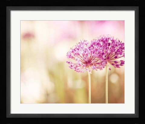 Framed Bloom Print