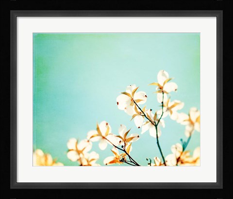 Framed Blossoms Adrift Print