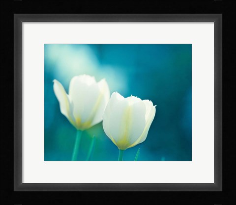 Framed Charisma Print