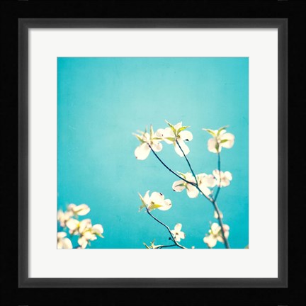 Framed Delicate Print