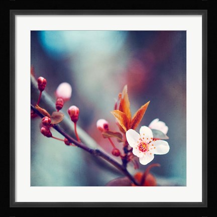 Framed Nature's Palette Print