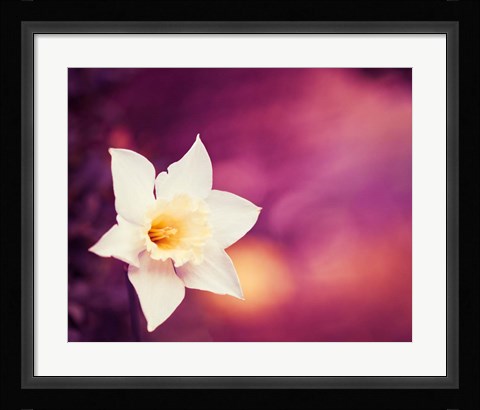 Framed Outburst Print