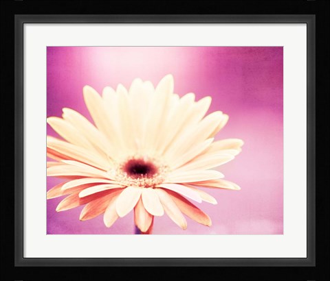 Framed Peachy Keen (magenta) Print