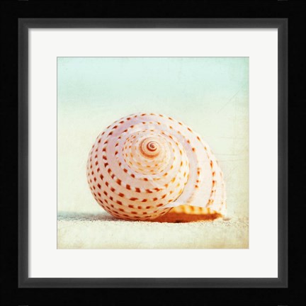 Framed Seashell Voices Print