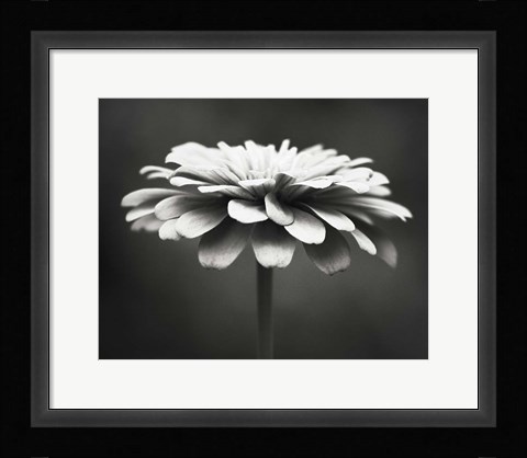 Framed Spellbinding Print