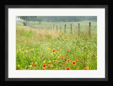 Framed Flowers and Fence Print