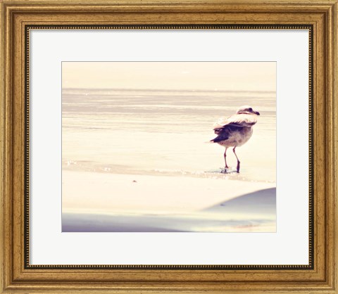 Framed Bird at The Beach Print