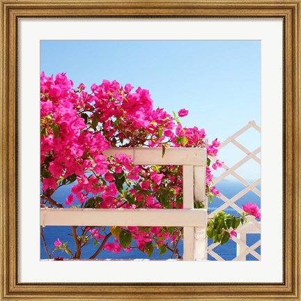 Framed Santorini Blooms Print